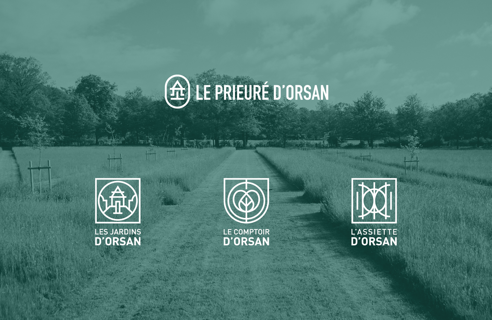 BRANDING