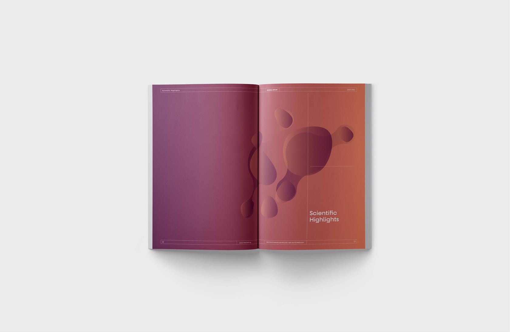 BIENNIAL REPORT 2024-2026