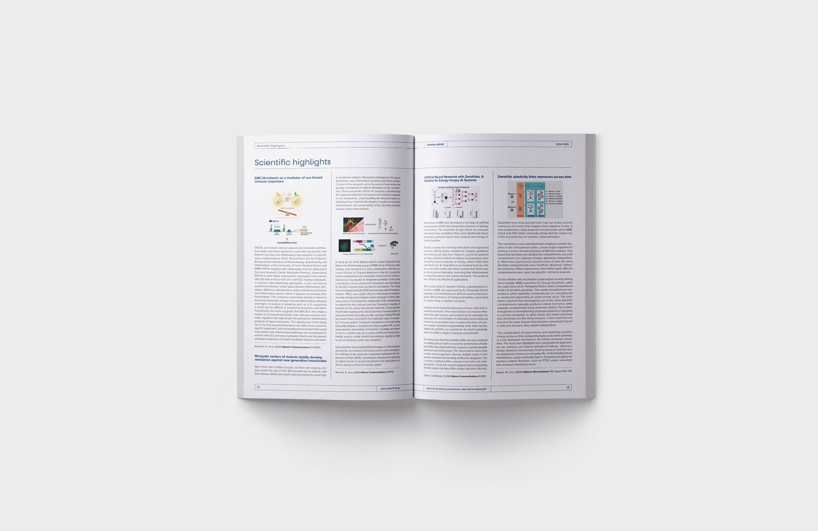 BIENNIAL REPORT 2024-2026