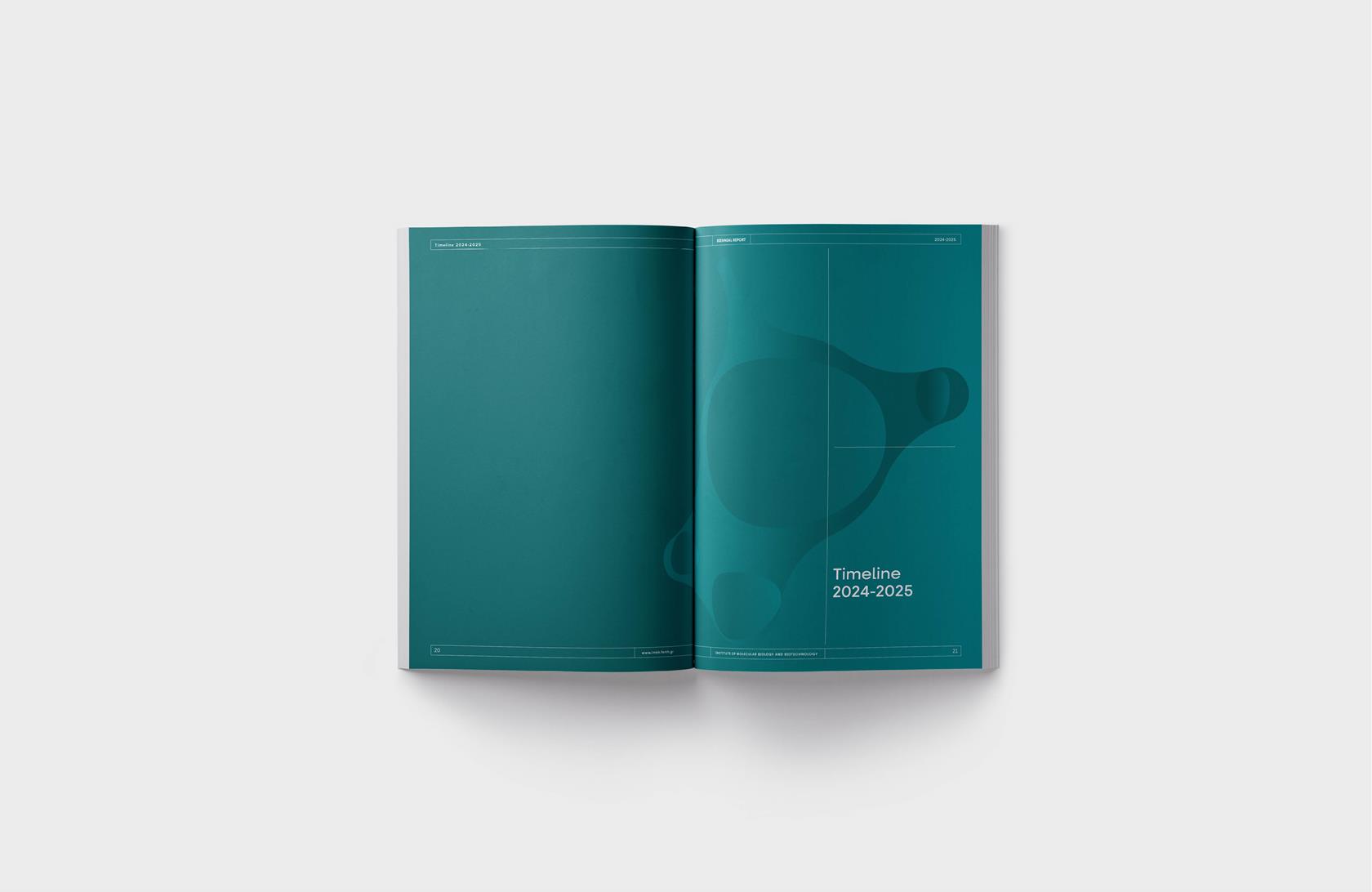 BIENNIAL REPORT 2024-2026