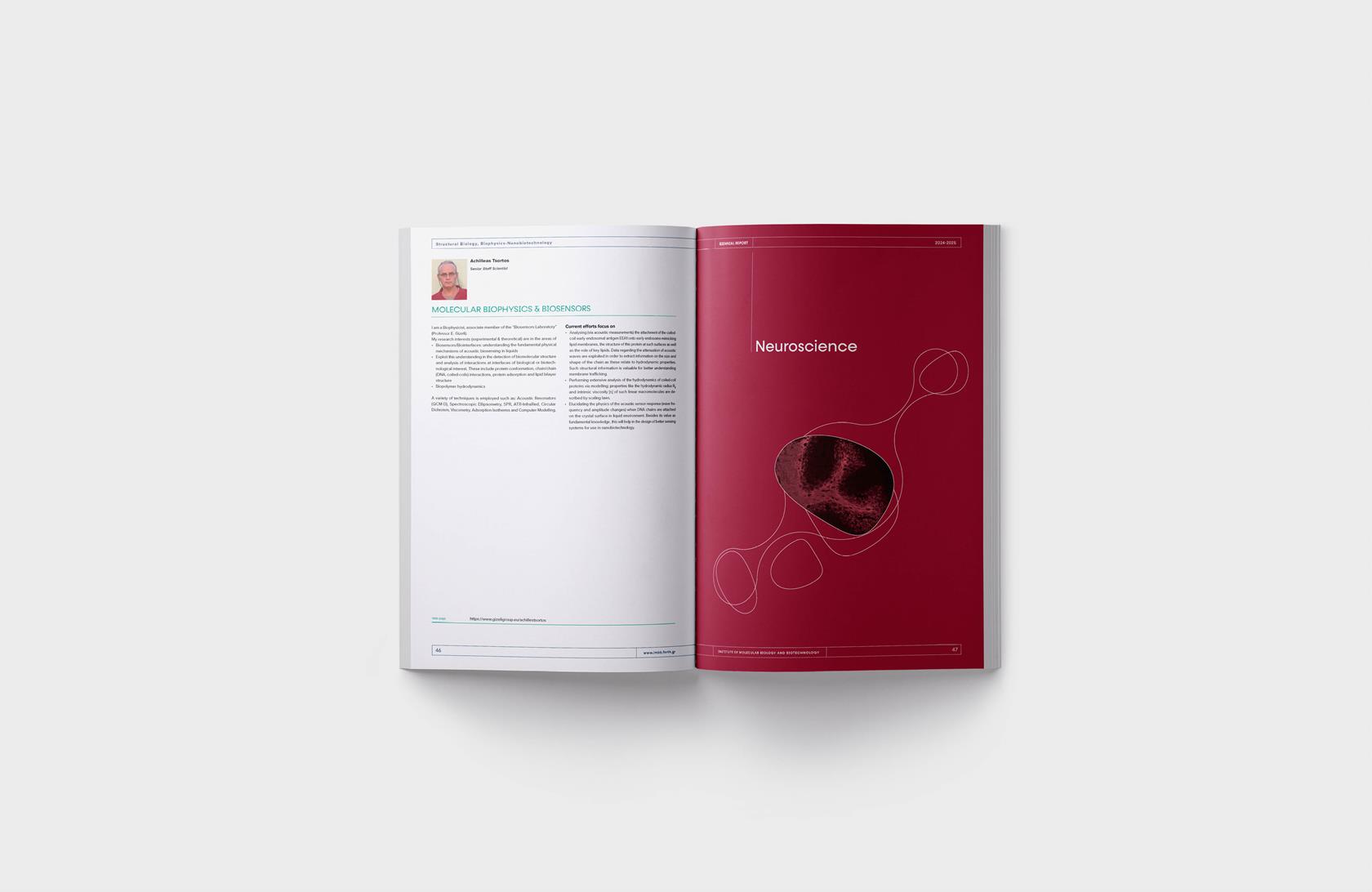 BIENNIAL REPORT 2024-2026