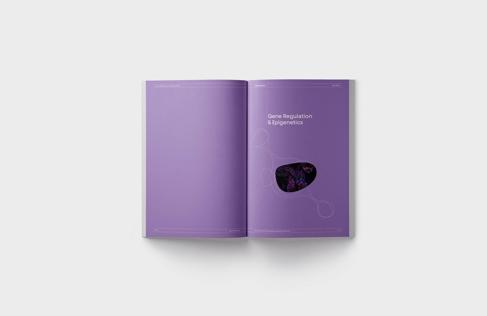 BIENNIAL REPORT 2024-2026