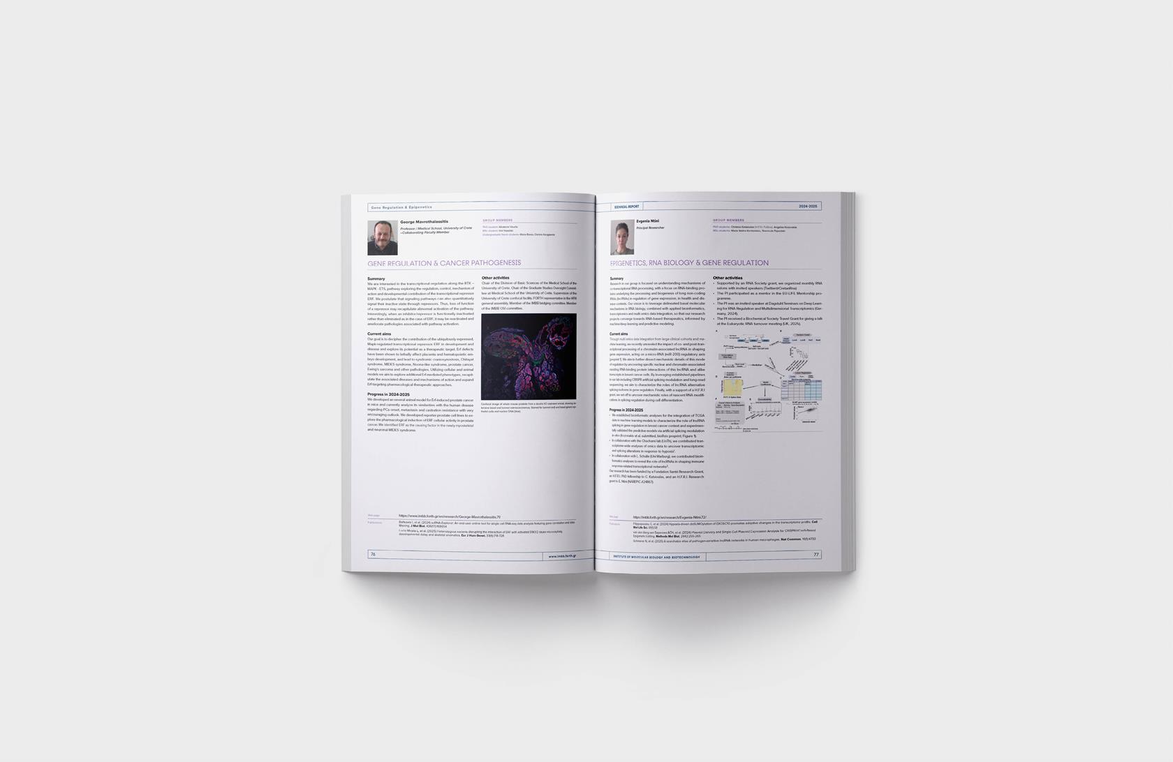 BIENNIAL REPORT 2024-2026