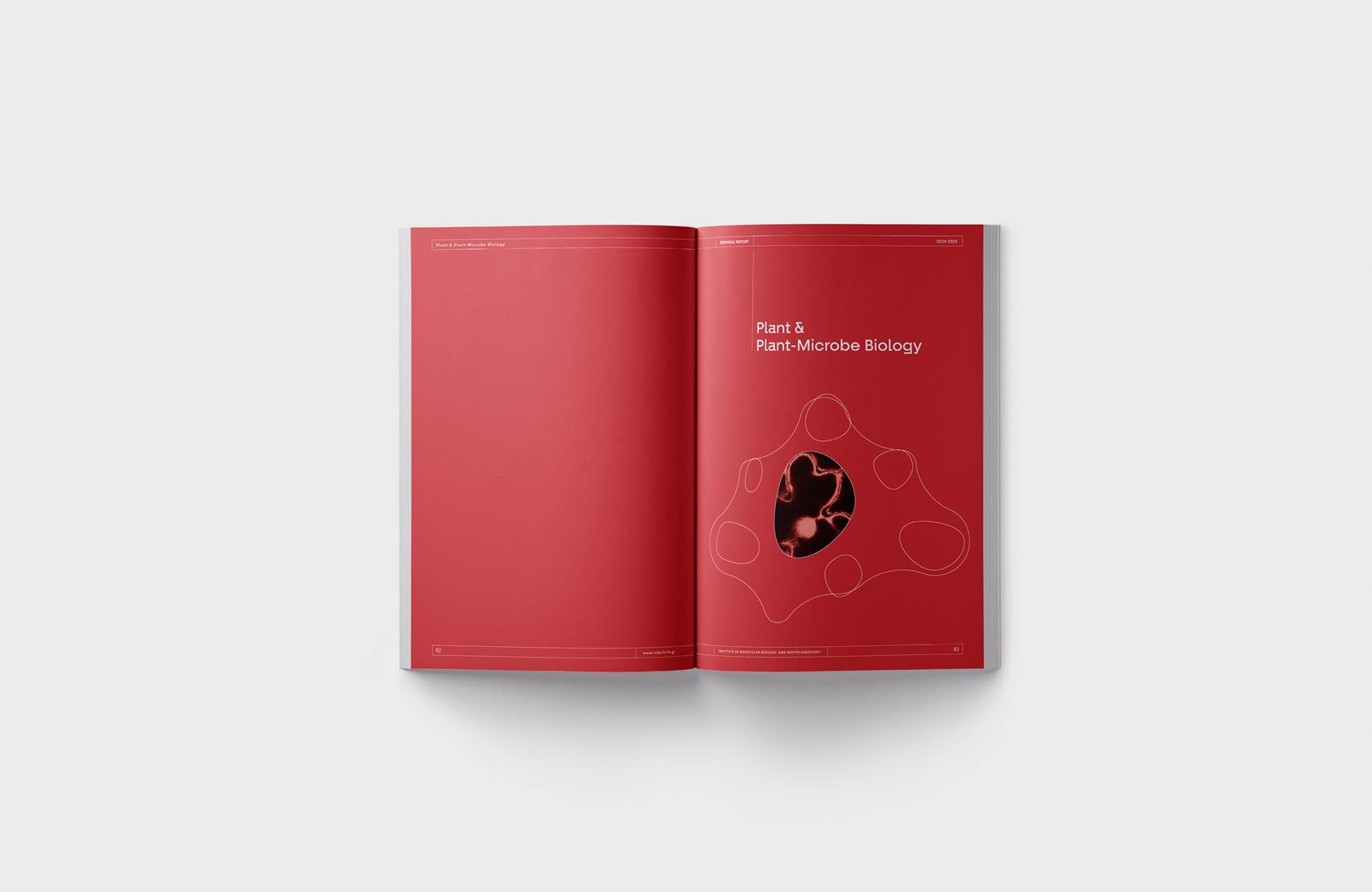 BIENNIAL REPORT 2024-2026